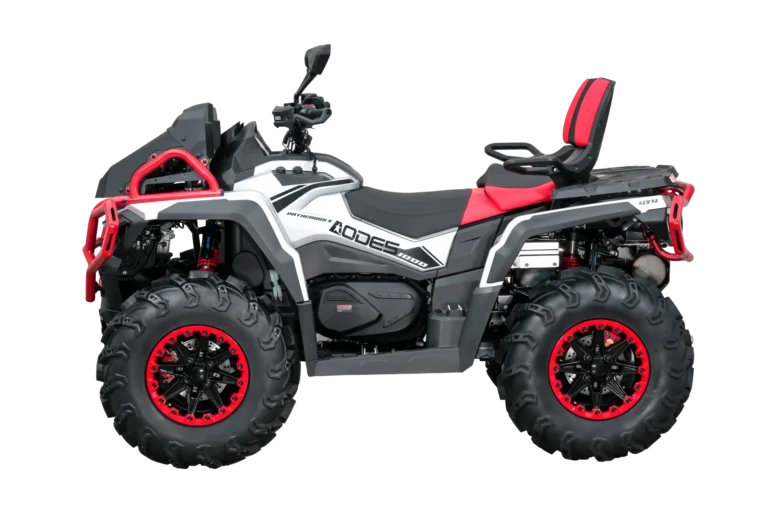 DSC2896-scaled.webp